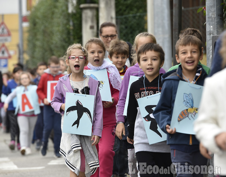 Friday for Future in Val Chisone: scuole attive per l&#039;ambiente