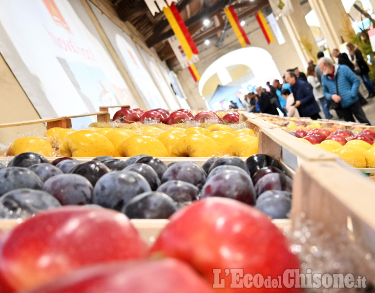 Cavour: Tutto Mele  2023