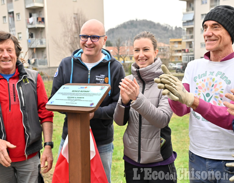 Abbadia Alpina,un nuovo bosco grazie a Rotary e PinixPine