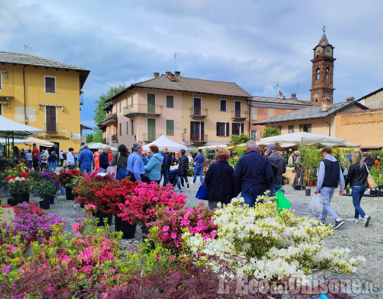 Cavour in fiore