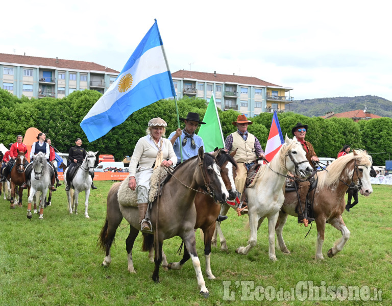 Pinerolo in sella, un grande successo