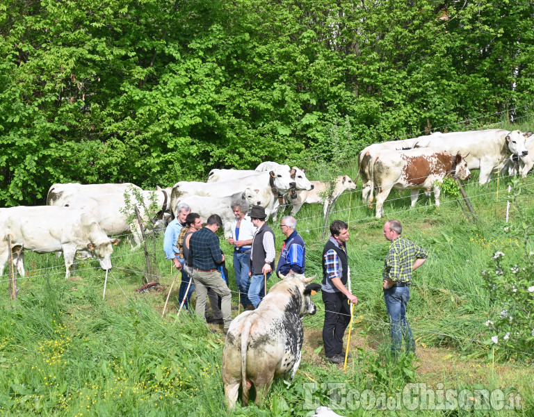Prarostino : Festa di Primavera