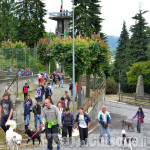 Prarostino &quot;zampettando&quot; in paese