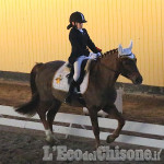 None: Dressage all&#039;Horsebridge