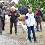 Pinerolo: Al Colletto la festa di San Antonio Abate