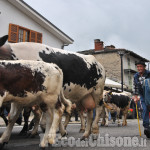  Fîra &#039;d la Pouià Bobbio Pellice