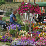 Costagrande, Festa di primavera