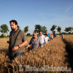 Castagnole-Virle: la conferenza sui cerchi nel grano 