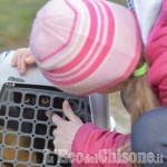 Pomaretto: festa di Sant&#039;Antonio Abate, benedizione degli animali