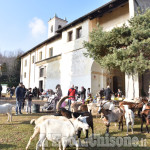 Alla Chiesa del Colletto di Pinerolo, San Antonio Abate