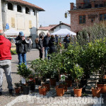 Pancalieri : Fiera vivaistica 