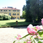Le ortensie di Villa Doria