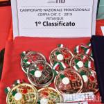 Pinerolo: Bocce Petanque al Veloce