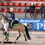 Monta western Abbadia, aspettando i salti