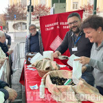 Pinerolo: Domenica pomeriggio in piazza Roma per la "Castagnata AVIS"