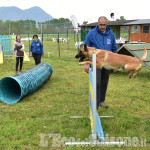 Cumiana: Giornata  in compagnia degli amici a quattro zampe,open-day "amici di Zampa"