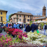 Cavour in fiore