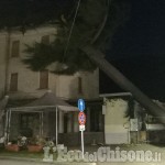 Torre Pellice: il vento abbatte grossi alberi in centro