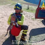 Fenestrelle: cane bloccato in un dirupo, salvato dai Vigili del fuoco