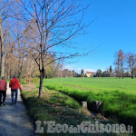 Podismo, la domenica del Trail del Chisone a Baudenasca: dalla corsa alla camminata