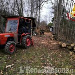 Bagnolo: ferito al volto mentre potava una pianta, boscaiolo finisce in ospedale