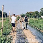 Rivalta: i ladri svaligiano cascina Mellano, rubati tutti i mezzi agricoli e uccise le galline dell'azienda