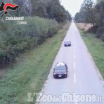 Una maxi coltivazione di cannabis nel parco di Stupinigi, arrestato il coltivatore