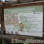 Discarica abusiva a Champas Seguin sull&#039;area geologica dei Radiolariti
