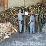 Cumiana: rubava legname in un bosco, denunciato 64enne