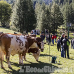 Pragelato: l&#039;antica fiera zootecnica dell&#039;Escartons a Soucheres Hautes