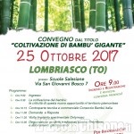 &quot;Coltivazione di bambù gigante&quot;: convegno a Lombriasco