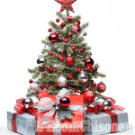 Piccolo vademecum per chi ama i concerti di Natale