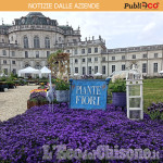 Dal 4 al 6 aprile a Stupinigi c’è ANTEPRIMA FLOREAL