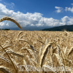 Agricoltori europei esentati da norme sui terreni a riposo