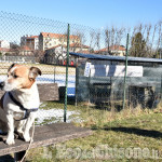 Pinerolo: alla Tabona l&#039;area sgambamento cani