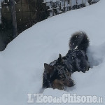 Neve in pianura, attesi altri 50 cm. nelle valli