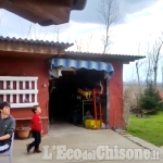 "Canestro da casa": il videomessaggio dei ragazzi della Cestistica Pinerolo '87