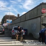 Saluzzo: controlli antidroga e ispezioni con le unità cinofile dei carabinieri