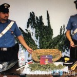 Moretta: coltivava cannabis in casa, arrestato 54enne