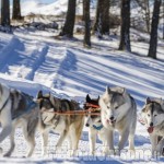 Turismo a Sestriere: le attività complementari allo sci diventano l'offerta principale