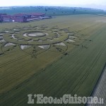 Cerchi nel grano tra Cercenasco e Scalenghe