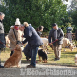 Pinerolo: domenica la Festa di Sant'Antonio e la benedizione degli animali al Colletto 