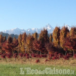 La foto vincitrice dela settimana: Come in un quadro, i colori dell&#039;autunno