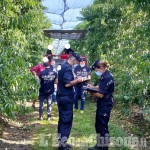 Saluzzo: i controlli dei Carabinieri per contrastare il lavoro irregolare nei frutteti