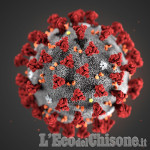 Coronavirus - Covid 19: situazione aggiornata sui casi