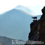 Godersi il panorama in punta alla Cristalliera di Dragos Eugen Strungariu