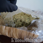 Barge: aveva allestito una serra per produrre marijuana, arrestato 50enne