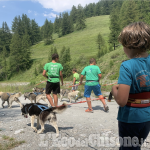 Dog Trekking e altre attività insieme ai Siberian Huskies del Il Team The Husky Experience 