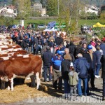 Luserna S.G.: ci vediamo alla Fiera dei Santi