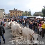 A Bobbio Pellice c&#039;è la Fîra &#039;dla calà